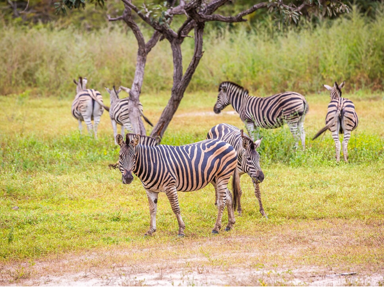 Singlereis Winterzon Gambia (hbo-wo) Naar het mooie Gambia